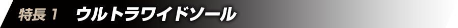 特徴1　ウルトラワイドソール