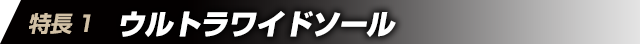 特徴1　ウルトラワイドソール